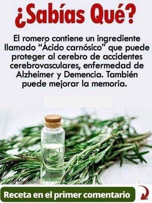 10 Razones Para Consumir Romero Todos Los Días Y Cómo Debes Prepararlo Natureview 