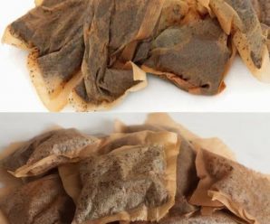 7 Usos Sorprendentes de las Bolsas de Té Usadas que No Conocías