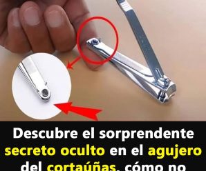 El Misterioso Agujero del Cortaúñas: Un Detalle que Transformará tu Rutina