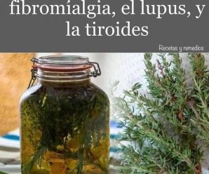 VÉRTIGO, ARTRITIS, FATIGA CRÓNICA, FIBROMIALGIA, EL LUPUS Y LA TIROIDES