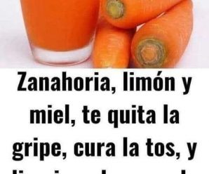 ZANAHORIA, LIMÓN Y MIEL, SACARÁ LA GRIPE, SANARÁ LA TOS Y LIMPIARÁ TUS PULMONES DE LA FLEMA, PREPÁRALO DE ESTA FORMA