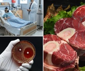 Hallan bacteria en mortadela y carne de puerco que ataca a varios órganos, prohíben su venta