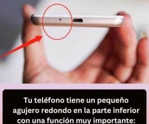 La Función Crucial del Pequeño Agujero Redondo en la Parte Inferior de tu Teléfono