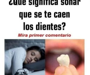 Soñar es un acto natural que ocurre mientras dormimos. Normalmente nos acordamos o no de los sueños, pero siempre nos preguntamos ¿qué significan?