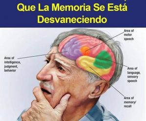 Conoce cuales son los principales síntomas del alzheimer