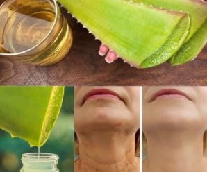 Rejuvenecimiento de la piel con aloe vera: remedios caseros para manchas y arrugas