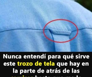 Descubre cual es la función del trozo de tela que tienen las camisas atrás