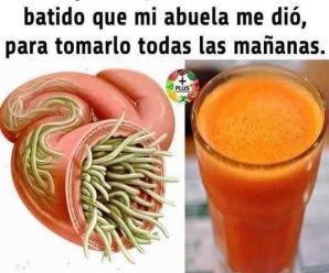 Este batido desinflama tu vientre, limpia el colon y elimina toda la grasa por completo de tu cuerpo