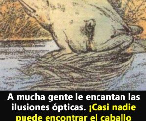 ¿Puedes encontrar al caballo escondido en esta imagen? Solo el 20% lo logra a simple vista