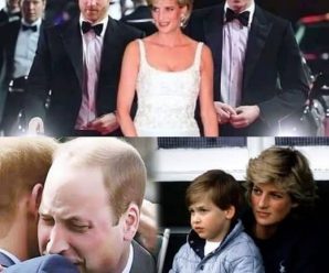 El Príncipe William anuncia la bienvenida al Príncipe Harry de regreso a Gran Bretaña después del ‘sueño’ de la Princesa Diana: ‘Mi mayor deseo era que mi madre me hablara en un sueño…’