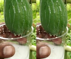 Receta de Savia de Papaya: El Elixir Oculto de la Naturaleza…Ver más