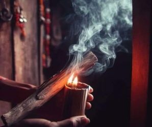 Quema un Ramito de Estas Hojas y Elimina la Envidia y Malas Energías de tu Casa