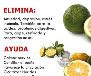 Descubre los beneficios sorprendentes de la naranja agria