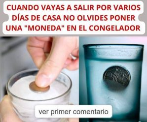 CUANDO VAYAS A SALIR POR VARIOS DÍAS DE CASA NO OLVIDES PONER UNA MONEDA EN EL CONGELADOR