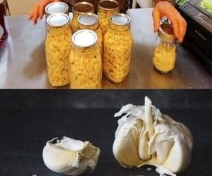 Jengibre rallado, cebolla, ajo, jugo de limón y miel.
