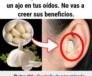 Esto es lo que sucede si colocas un ajo en tus oídos. No vas a creer sus beneficios.