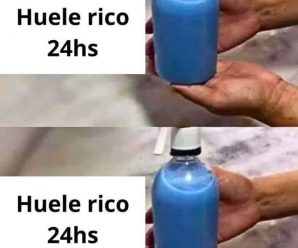 Ambientador casero para que la casa huela mejor