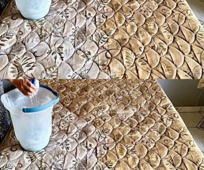 Cómo limpiar un inodoro sucio y eliminar el olor a orina del sofá, el colchón y el baño