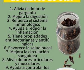 ¿Qué Beneficios Tiene Tomar Té de Clavo de Olor?