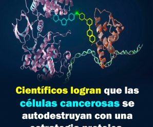 Científicos logran que las células cancerosas se autodestruyan con una estrategia proteica.