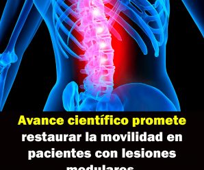 Avance científico promete restaurar la movilidad en pacientes con lesiones medulares.