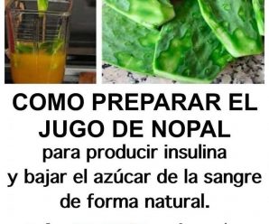 Licuado de nopal y sábila para diabéticos e hipertensos, también baja de peso