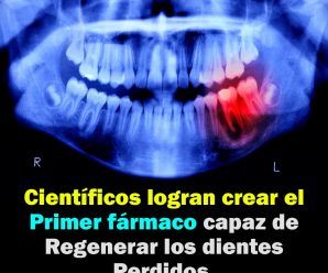 Científicos japoneses desarrollan el primer fármaco para regenerar dientes perdidos.