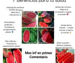 Beneficios y propiedades de la sandía