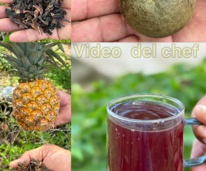 Elimina la diabetes tipo dos, el colesterol, la mala circulación, el hígado graso y la obesidad de manera natural y sin tener que tomar pastilla