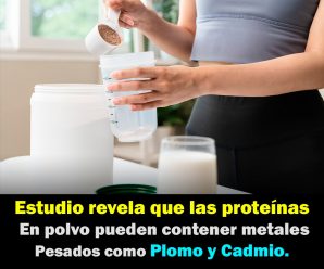 Estudio revela que las proteínas en polvo pueden contener metales pesados como plomo y cadmio.