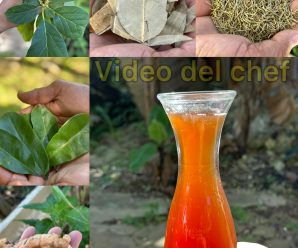 La bebida con el doctor Fran Suárez no dejó para acabar con la diabetes, con la mala circulación, con el hígado graso y hasta con el cáncer