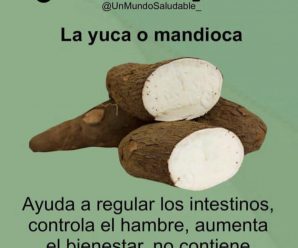 La Yuca No Solo Llena, También Sana: Conoce Sus Beneficios