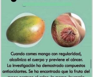 La Fruta que Alcaliniza tu Cuerpo y Puede Ayudar a Prevenir el Cáncer