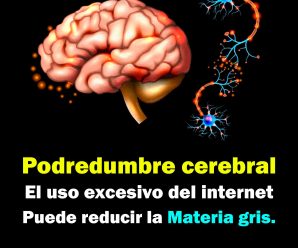 Podredumbre cerebral: el uso excesivo del internet puede reducir la materia gris.