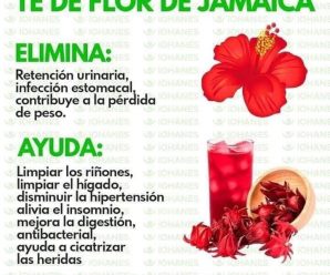 Descubre los Poderosos Beneficios del Té de Flor de Jamaica y Cómo Prepararlo