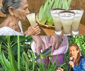 Agua de Aloe Vera con Limón: 25 Beneficios, Consejos y Preparación Correcta