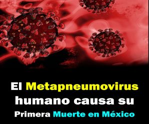 El metapneumovirus humano cobra su primera víctima mortal en México.