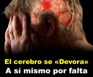 El cerebro se «devora» a sí mismo por falta de sueño prolongado.