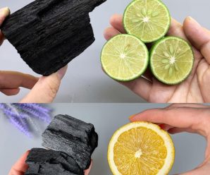 ahorra dinero en el mercado con solo mezclar limon y carbon