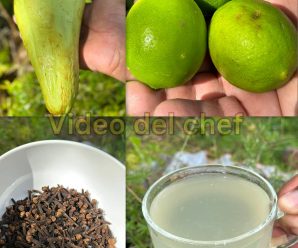 Mi abuelita acabó con la diabetes y la mala circulación con este té natural