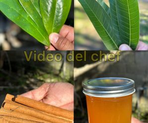 Limpia el hígado graso, elimina los quistes, miomas, controla la diabetes, presión alta y la mala circulación con Solo una taza de esta mezcla