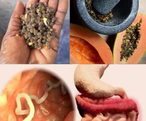 Llevo semillas de papaya siempre y las consumo con esta receta: descubre sus increíbles beneficios