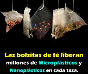 Encuentran microplásticos y nanoplásticos en bolsitas de té.