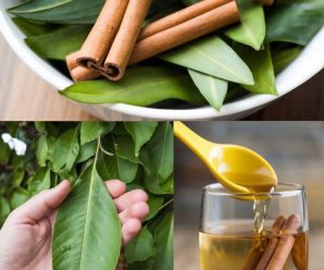 Infusión de la abuela canela y hojas de guayaba