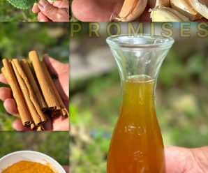 Mezcla del agua de ajo con orégano poleo y limpiará el hígado graso, ￼eliminará la diabetes, náuseas, dolores estomacales y la mala circulación con sólo tomar de esta potente bebida 