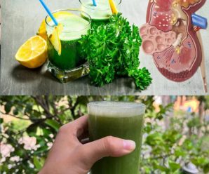«Apio, Perejil y Limón: El Trío Perfecto para la Salud y el Bienestar»