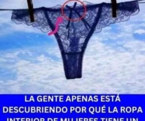 Esto pasa cuando no te cambias de ropa interior todos los días