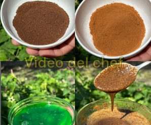 Lava tu cabello durante una semana con este shampoo casero y tu cabello crecerá como loco