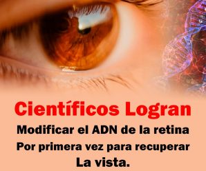 Científicos logran modificar el ADN de la retina por primera vez para recuperar la vista.