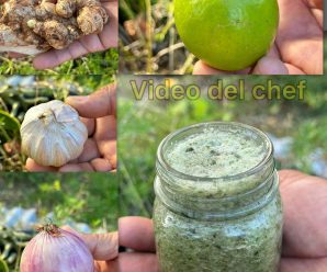 Expulsa la flema de los pulmones, quita la gripe, elimina la sinusitis y la tos seca